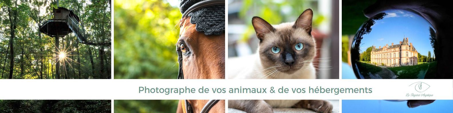 Photographe Professionnelle Animaux et Immobiliers