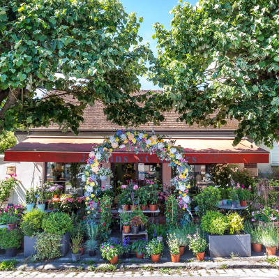 Jardins Et Fleurs