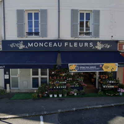 Monceau Fleurs